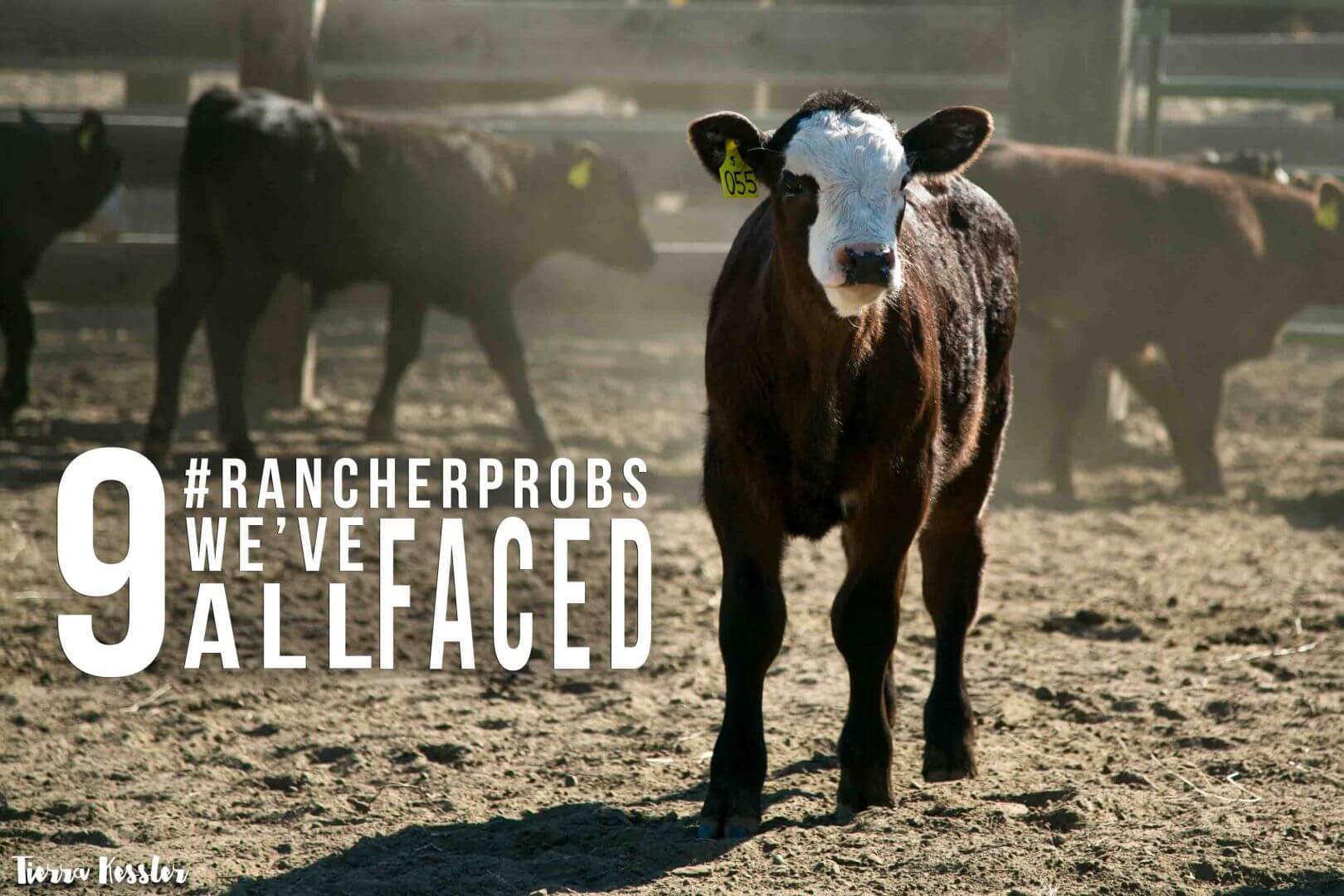 9 #RancherProbs We've All Faced - Ranch House Designs, Inc.