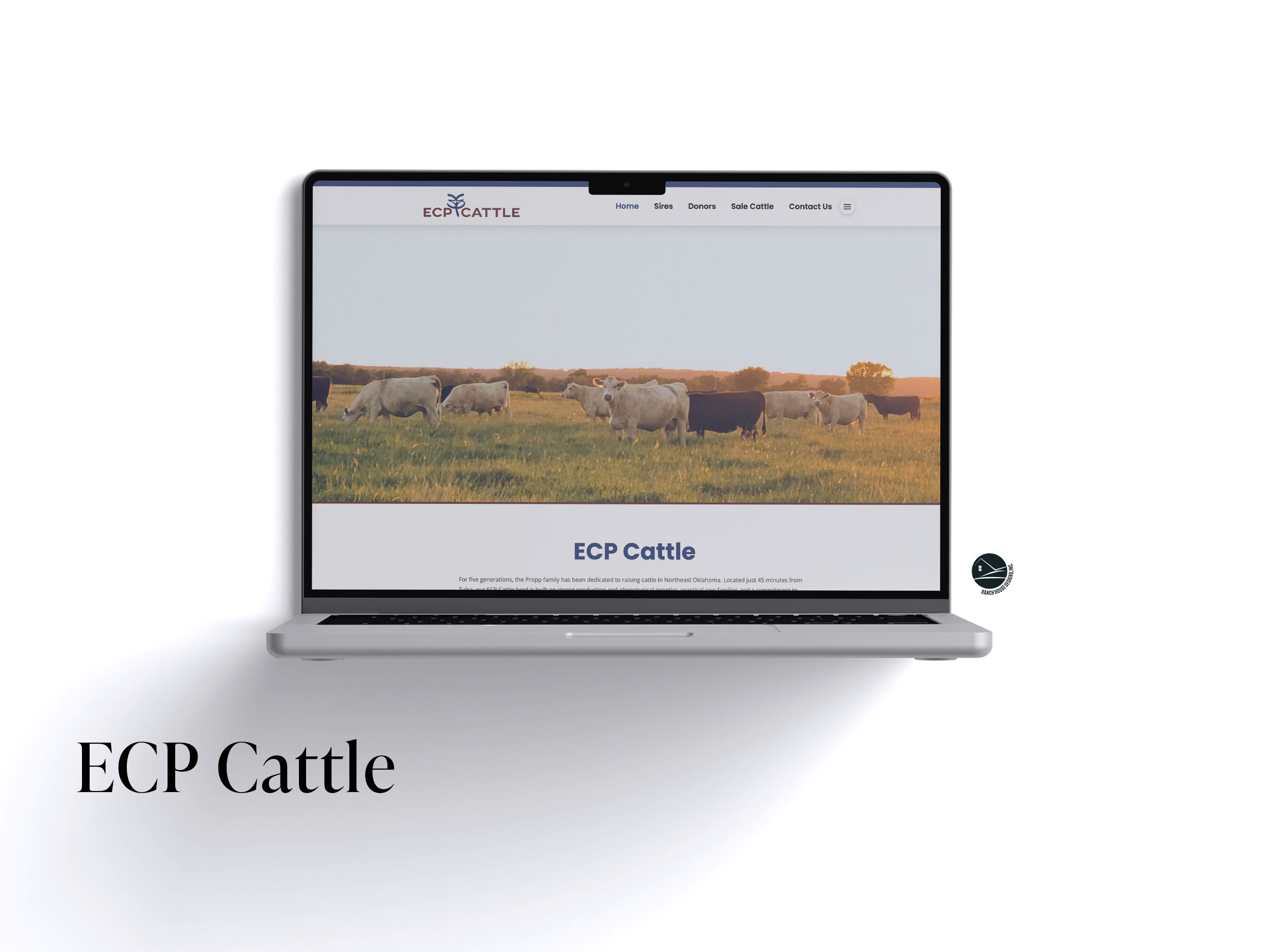 ECP Cattle Web Design - Ranch House Designs, Inc.