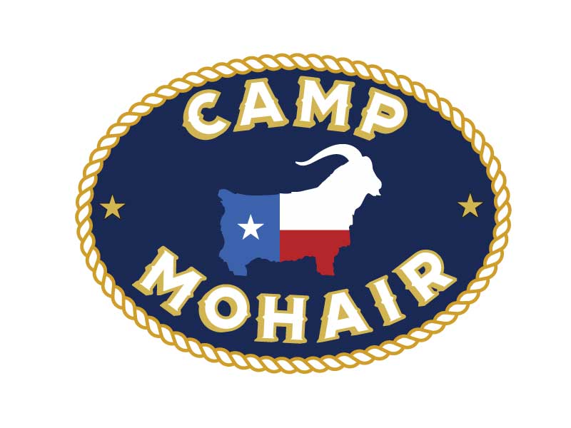 Featured image for “Camp Mohair Logo Design”