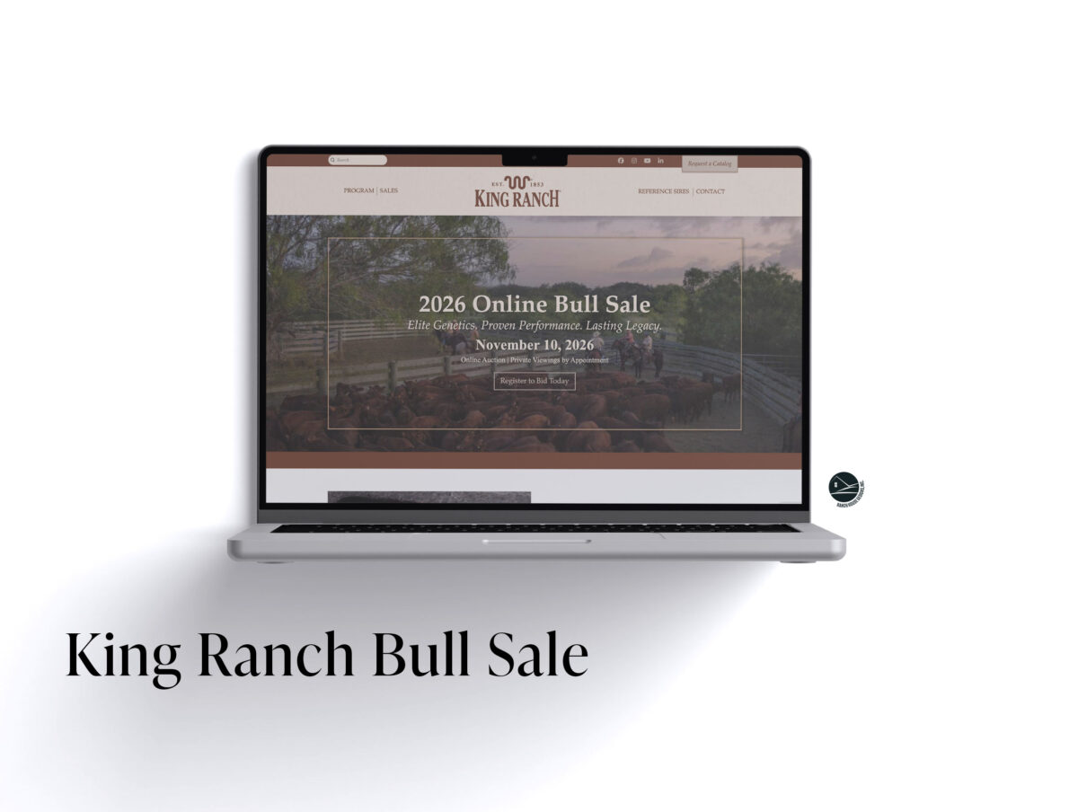 King Ranch Bull Sale Web Design - Ranch House Designs, Inc.