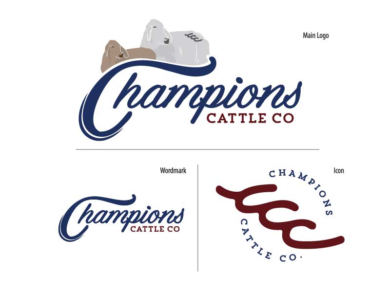 Featured image for “Champions Cattle Co Logo Design”