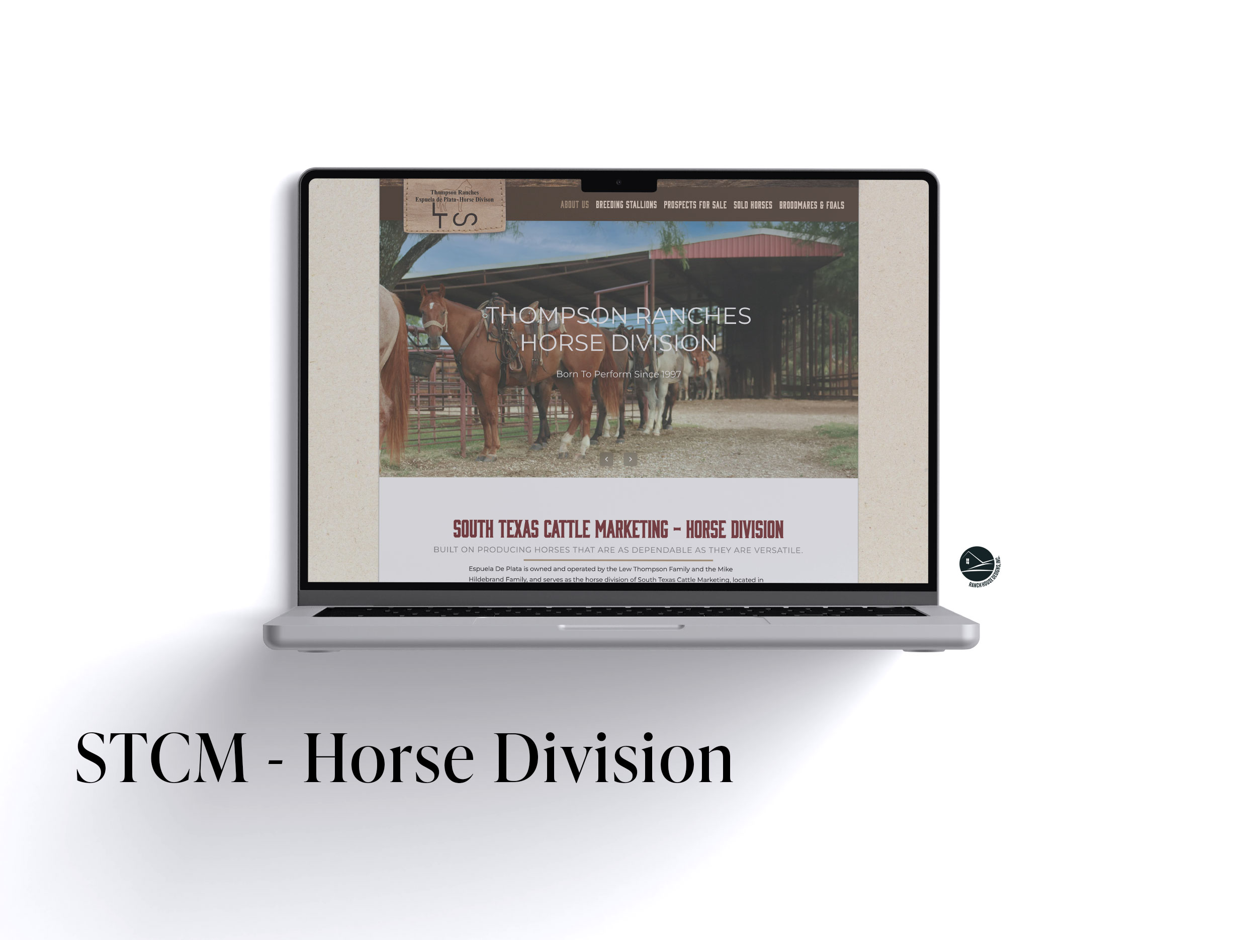 South Texas Cattle Marketing - Horse Division Web Design - Ranch House Designs, Inc.