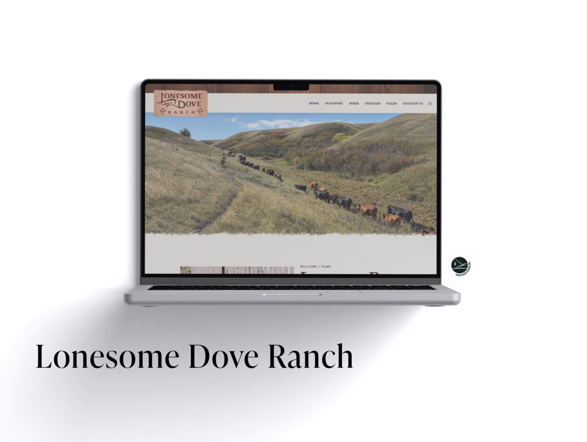 Lonesome Dove Ranch Web Design - Ranch House Designs, Inc.